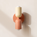 Up Down Wall Sconce - Peach Canopy / Bone Upper Shade