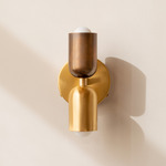 Brass Up Down Wall Sconce - Brass Canopy / Patina Brass Upper Shade