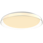 Hampton Ceiling Light Fixture - Clear / Frosted