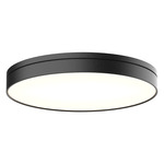 Novel Ceiling Light Fixture - Black / Frosted