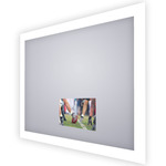 Silhouette Lighted Mirror with TV - Frosted