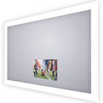 Silhouette Lighted Mirror with TV - Frosted