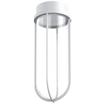 In Vitro Outdoor Ceiling Light - White / Transparent