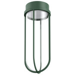 In Vitro Outdoor Ceiling Light - Forest Green / Transparent