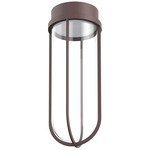 In Vitro Outdoor Ceiling Light - Deep Brown / Transparent