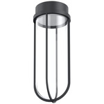 In Vitro Outdoor Ceiling Light - Black / Transparent