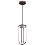 In Vitro Outdoor Pendant - Deep Brown / Transparent