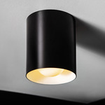 Float Ceiling Light Fixture - Black