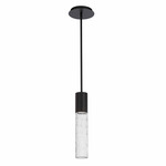 Sleek Outdoor Pendant - Black / Clear