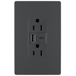 15 Amp Outlet / Type A/C USB Port - Graphite