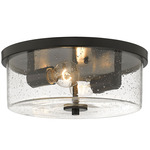 Rayne Ceiling Light - Matte Black / Clear Seeded