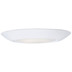 Diverse Non-T24 3000K Wet Location Ceiling Light - White / White