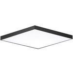 Trim Square Ceiling Light Fixture - Black / White