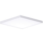 Trim Square Ceiling Light Fixture - White / White