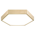 Hexol Ceiling Light Fixture - Oxidized Gold / White