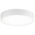 Plato Ceiling Light Fixture - White / Frosted