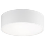 Snare Ceiling Light Fixture - White / Frosted