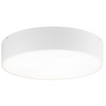 Snare Ceiling Light Fixture - White / Frosted