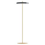 Asteria Floor Lamp - Brass / Anthracite Grey