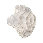 Nevo Wall / Ceiling Light - Stainless Steel / White