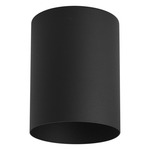 Outdoor Flush Mount Cylinder Ceiling Light - Black