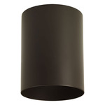 Outdoor Flush Mount Cylinder Ceiling Light - Bronze