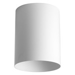 Outdoor Flush Mount Cylinder Ceiling Light - White