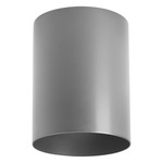 Outdoor Flush Mount Cylinder Ceiling Light - Metallic Grey