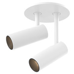 Downey 2 Recessed Adjustable Spot Ceiling Light - White / Clear