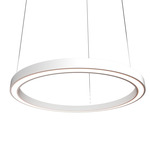Frame Ring Downlight Pendant - White