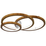 Frame Rings Ceiling / Wall Mount - Teak