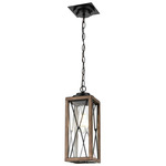 County Fair Outdoor Pendant - Ironwood / Black / Clear