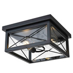 County Fair Outdoor 2Lt Ceiling Light Fixture - Black / Clear