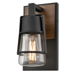 Lake Of The Woods Outdoor Wall Sconce - Ironwood / Black / Clear