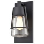 Lake Of The Woods Outdoor Wall Sconce - Black / Clear