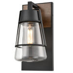 Lake Of The Woods Outdoor Wall Sconce - Ironwood / Black / Clear