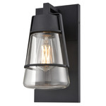 Lake Of The Woods Outdoor Wall Sconce - Black / Clear