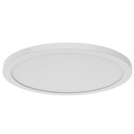 Tempest Color Select Ceiling Light - Matte White