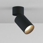 CY1 Adjustable Cylinder Ceiling Light - Black Powdercoat