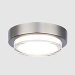 Kind Outdoor Ceiling Light - Stainless Steel / White