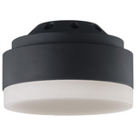 Aspen Ceiling Fan Light Kit - Midnight Black / Frosted