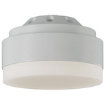 Aspen Ceiling Fan Light Kit - Matte White / Frosted