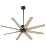 Fleet Ceiling Fan - Black / Weathered Gray