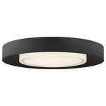 Hilo Ceiling / Wall Flush Mount - Nightshade Black / Frosted