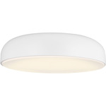 Kosa Ceiling Light Fixture - Matte White / Frosted