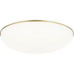 Megan Ceiling / Wall Light - Plated Brass