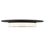 Sen Ceiling Light - Nightshade Black / Frosted