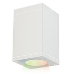 Cube Architectural Outdoor Color Tunable Ceiling Light - White / Clear