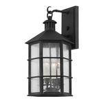 Lake County Outdoor Wall Sconce - French Iron / Clear Seeded