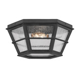 Lake County Flush Mount - French Iron / Clear Seeded